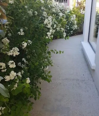 Chez Lily Villa Velizy-Villacoublay