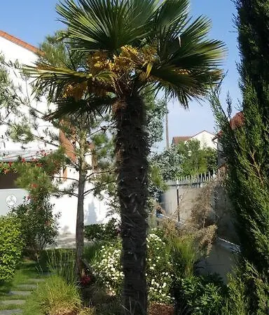 Villa Chez Lily Velizy-Villacoublay