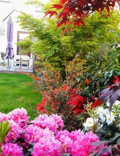Villa Chez Lily Velizy-Villacoublay