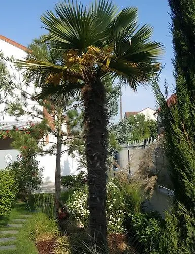 Villa Chez Lily Velizy-Villacoublay